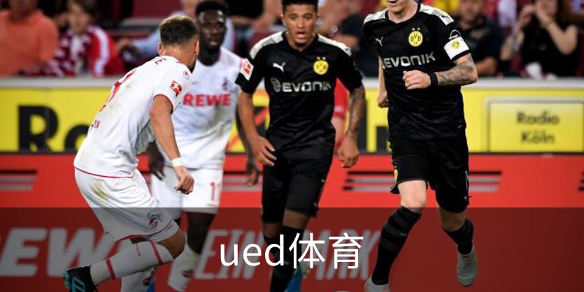 ued体育简介